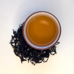 Tinjure 'Golden Black' Ilam